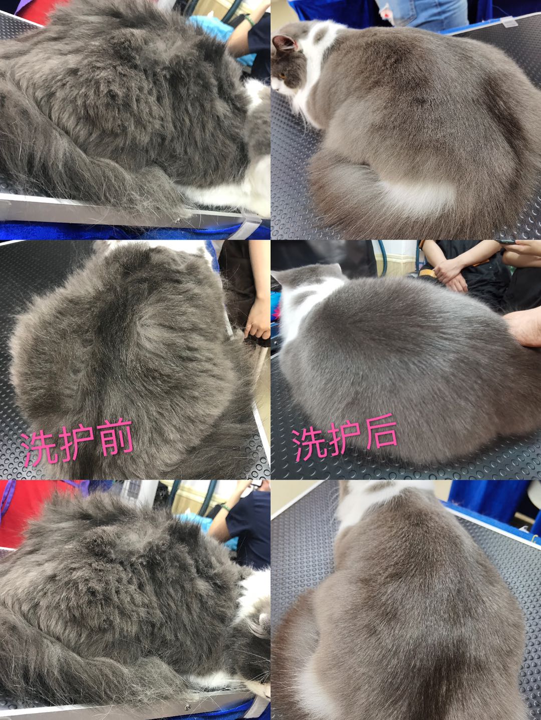 微信图片_20200617170211.jpg