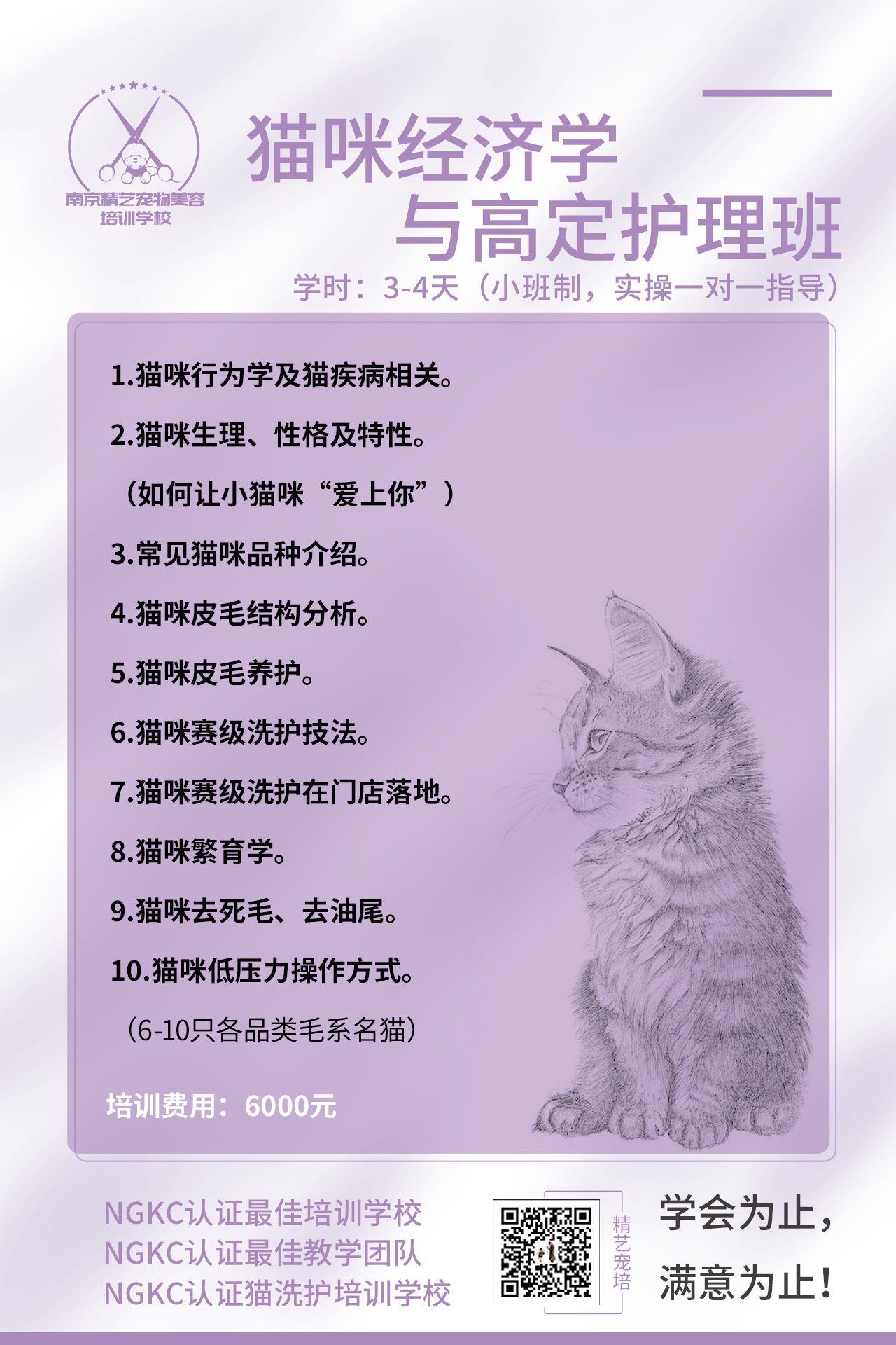 新赛级猫咪班课表.jpg