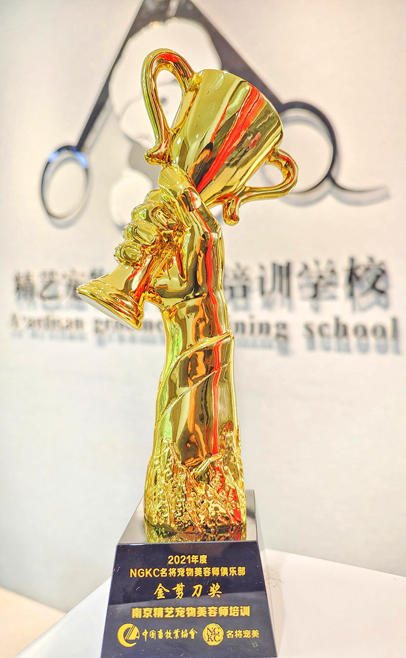 1655789745384882.jpg 金剪刀奖小.jpg